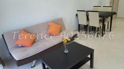 The Luxurie (D19), Condominium #94493252